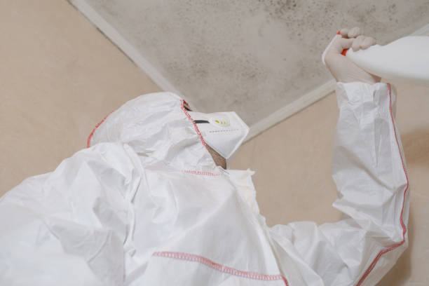 Mold Removal and Inspection in Malaga, NJ